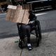 Spencer Platt/Getty Images